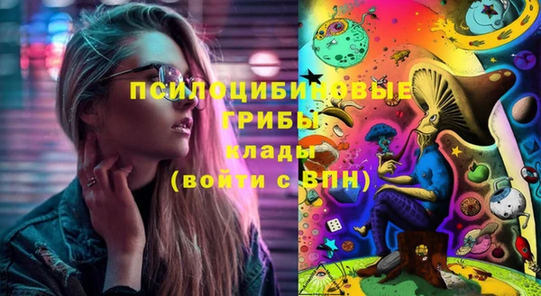 Альфа ПВП Богородицк