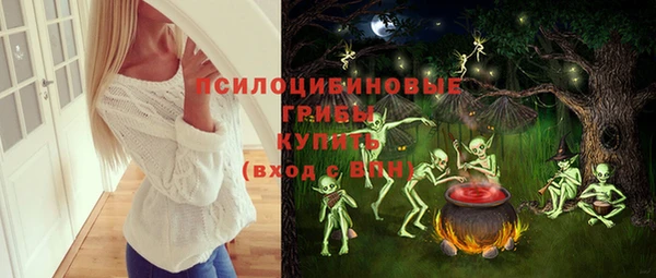 Альфа ПВП Богородицк