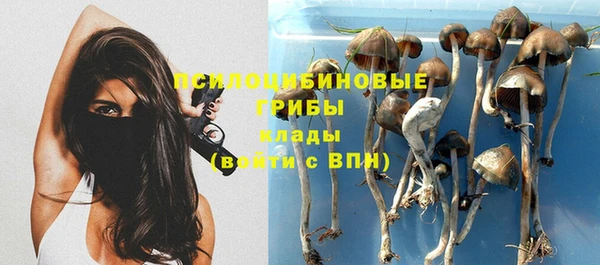 каннабис Богданович