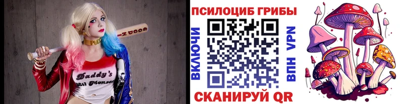 купить закладку  Егорьевск  Псилоцибиновые грибы прущие грибы 